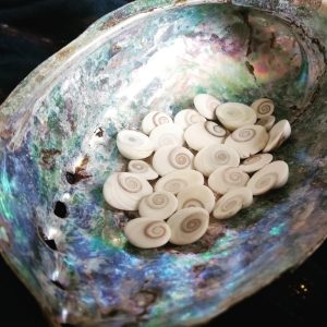 shells
